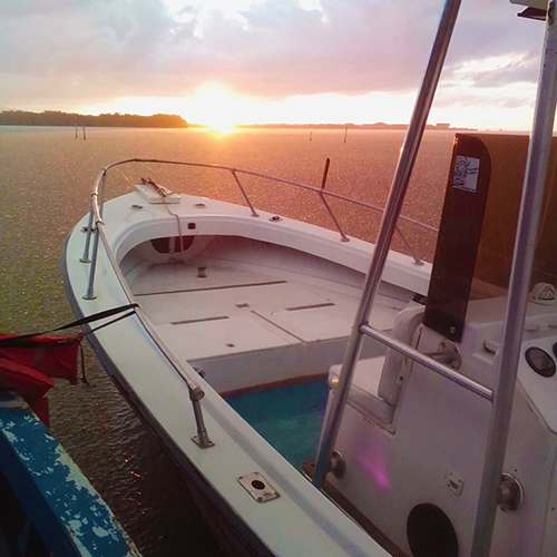 glass bottom boat